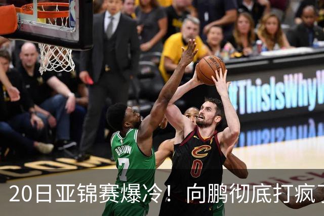 20日亚锦赛爆冷！向鹏彻底打疯了，李天阳制造惨案，国乒冲冠有望