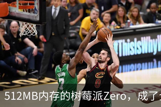 512MB内存的树莓派Zero，成了全家网络的DNS中枢